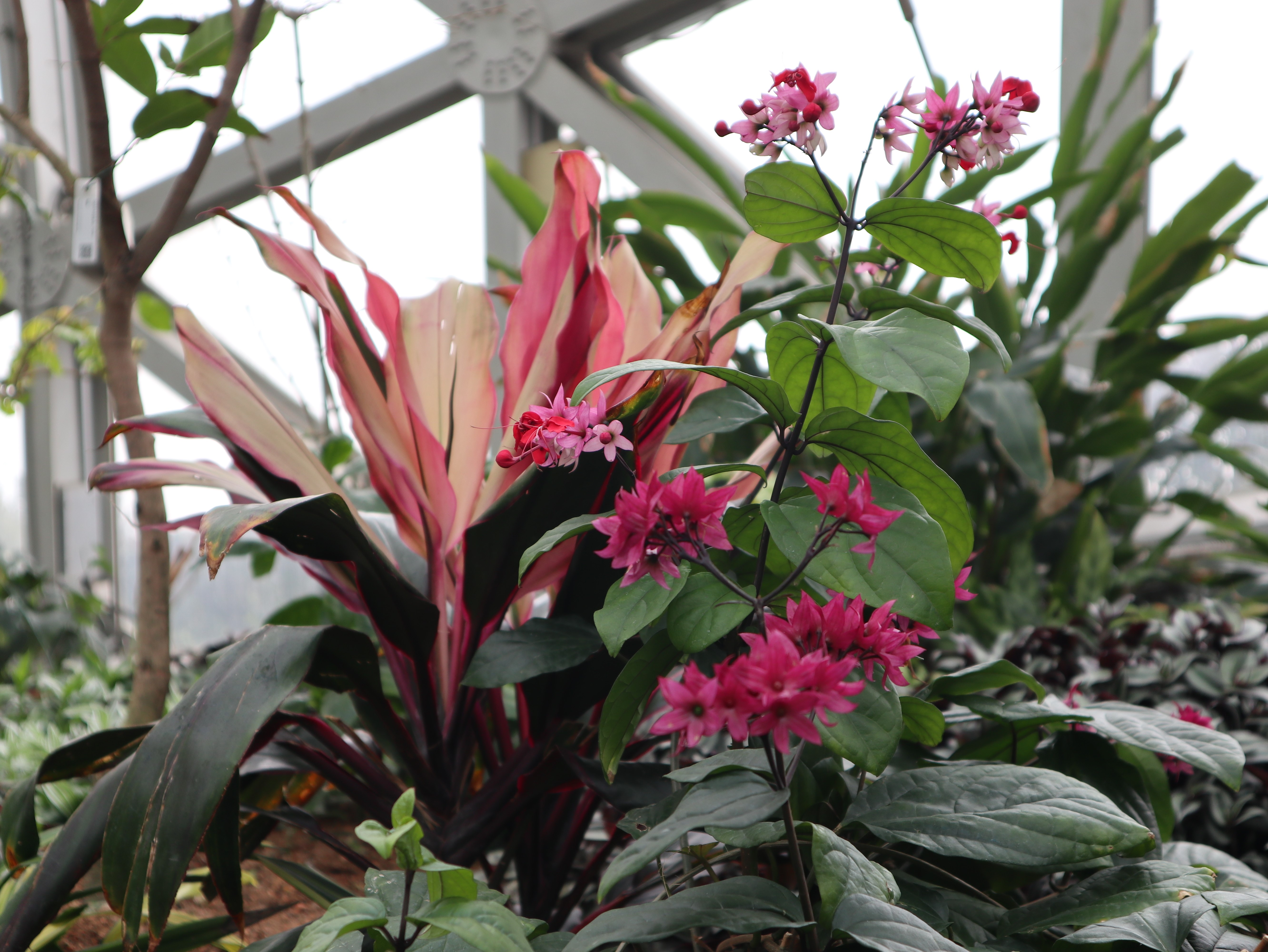 新闻 | 海洋之神HY590组织“相约春季，欢畅游园”三八节主题活动